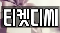 티켓디씨