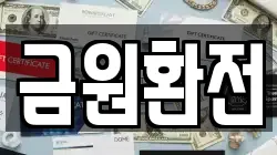 금원환전