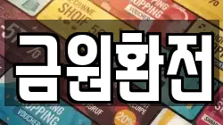 금원환전