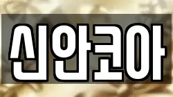 신안코아