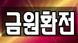 금원환전