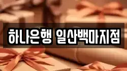 하나은행 일산백마지점