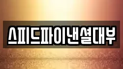 스피드파이낸셜대부