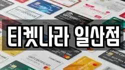 티켓나라 일산점