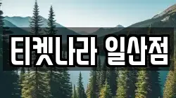 티켓나라 일산점