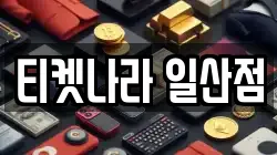 티켓나라 일산점