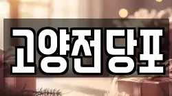 고양전당포