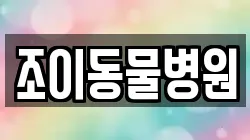 조이동물병원