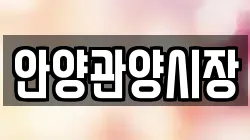 안양관양시장