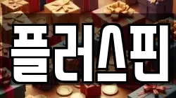 플러스핀