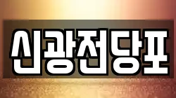 신광전당포