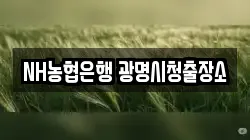 NH농협은행 광명시청출장소