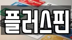 플러스핀