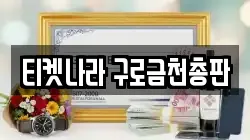 티켓나라 구로금천총판
