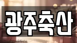 광주축산