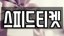 스피드티켓