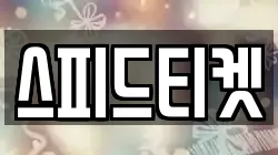 스피드티켓