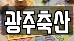 광주축산