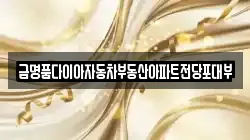 금명품다이아자동차부동산아파트전당포대부
