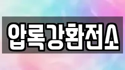 압록강환전소