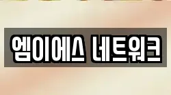 엠이에스 네트워크