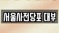 서울사전당포 대부