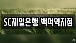 SC제일은행 백석역지점