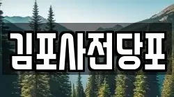 김포사전당포