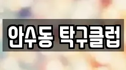 안수동 탁구클럽