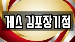 게스 김포장기점
