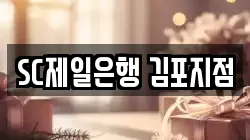 SC제일은행 김포지점