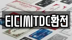 티디씨TDC환전