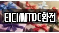 티디씨TDC환전