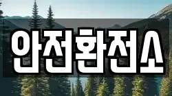 안전환전소