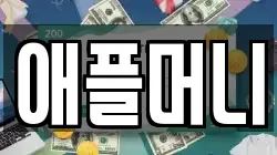 애플머니