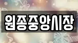 원종중앙시장