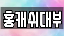 홍캐쉬대부