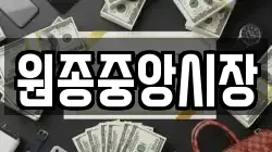 원종중앙시장