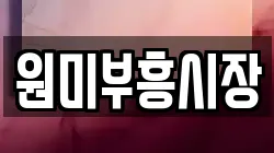 원미부흥시장
