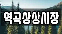 역곡상상시장