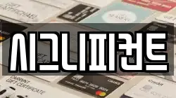 시그니피컨트