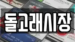 돌고래시장