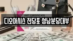디오아시스 전당포 성남분당대부