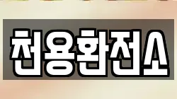 천용환전소