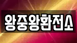 왕중왕환전소