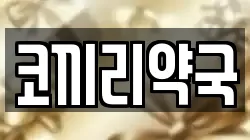 코끼리약국