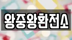 왕중왕환전소
