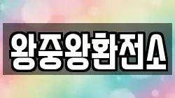 왕중왕환전소