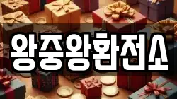 왕중왕환전소