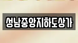 성남중앙지하도상가